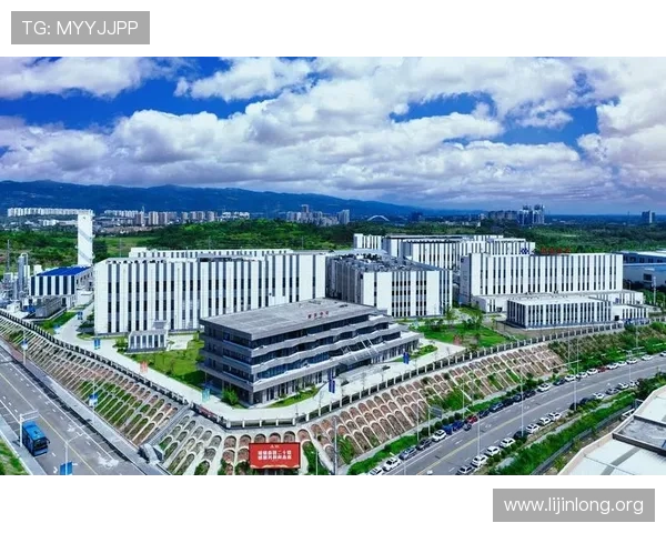 千亿体育集团在体育赛事运营中的创新策略与未来发展方向