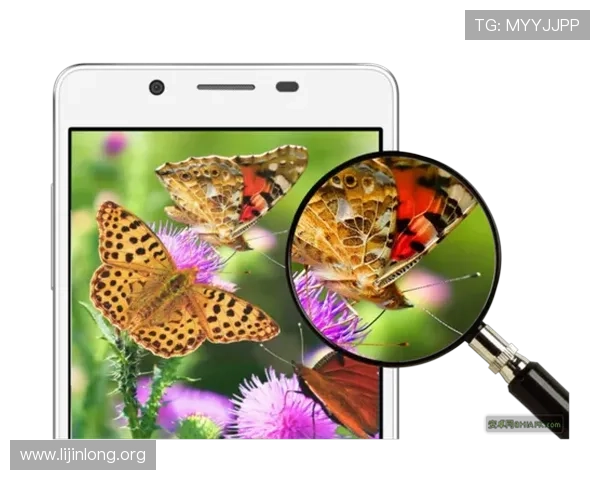 千亿像素看中国官网入口：了解中国在超高像素影像技术方面的科研成果与行业标准