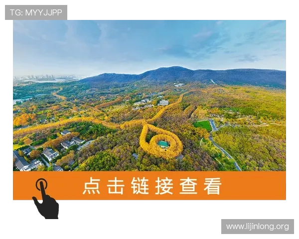 千亿像素看中国网站入口揭秘中国在超高像素影像技术领域的创新成果与行业影响力