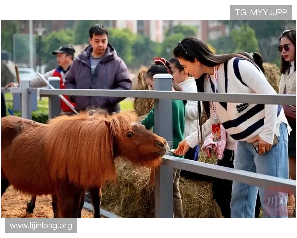 千亿球友会打造全民足球热潮引领行业新风尚的未来发展趋势分析